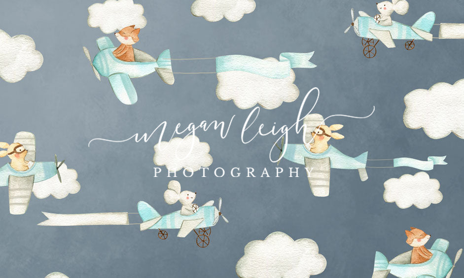 Kate Cake Smash Air Planes Backdrop Designed by Megan Leigh Photography - Kate Backdrop AU