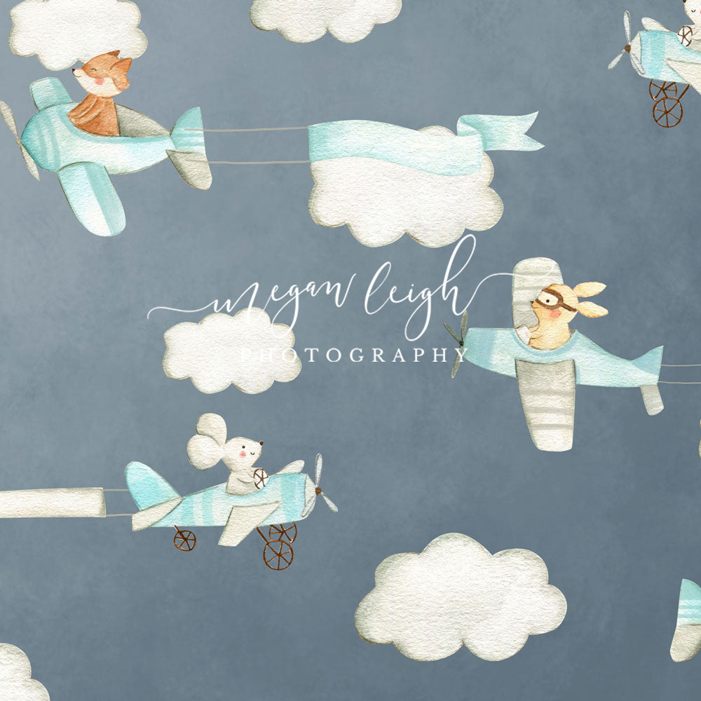 Kate Cake Smash Air Planes Backdrop Designed by Megan Leigh Photography - Kate Backdrop AU