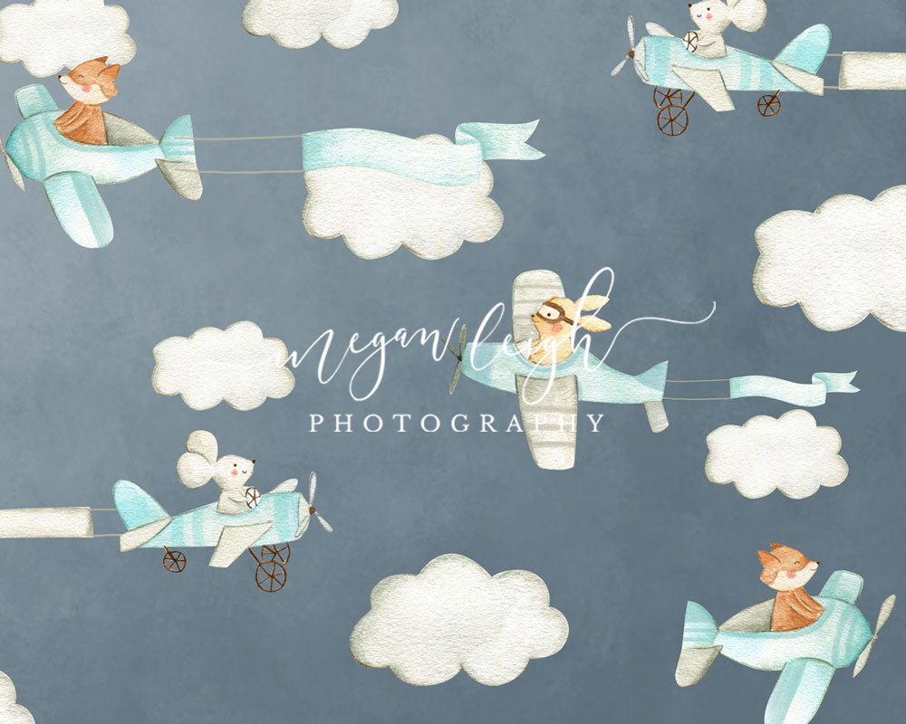 Kate Cake Smash Air Planes Backdrop Designed by Megan Leigh Photography