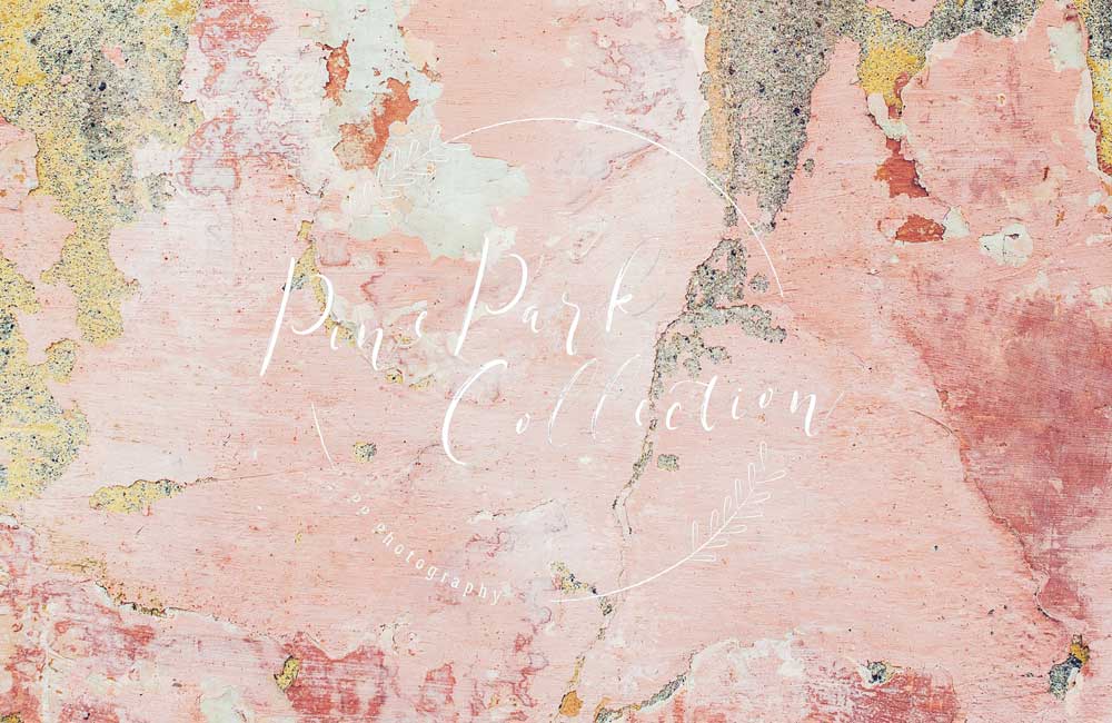 Kate Pink Stucco Wall Backdrop Designed By Pine Park Collection