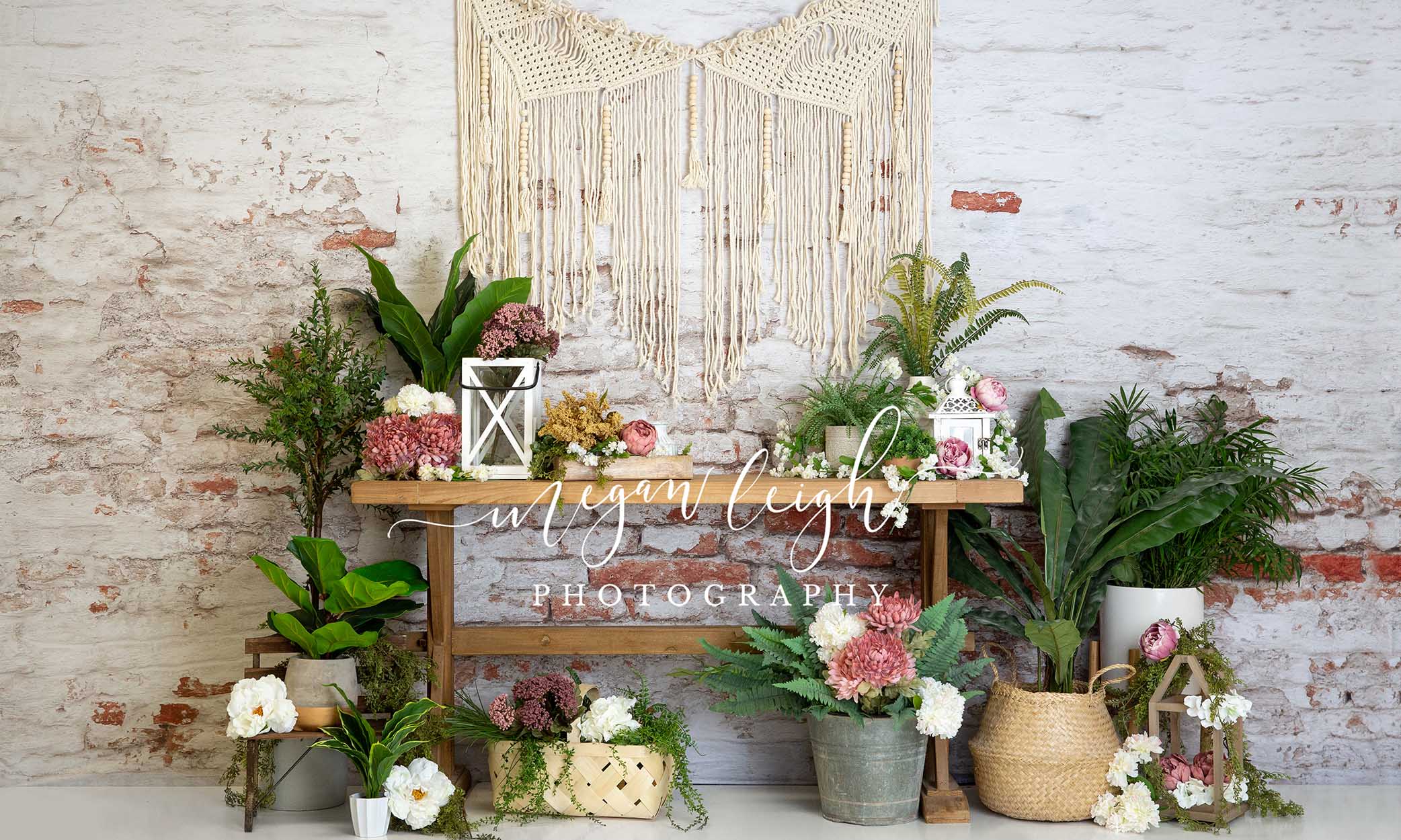 Kate Boho Summer Backdrop Designed by Megan Leigh Photography - Kate Backdrop AU