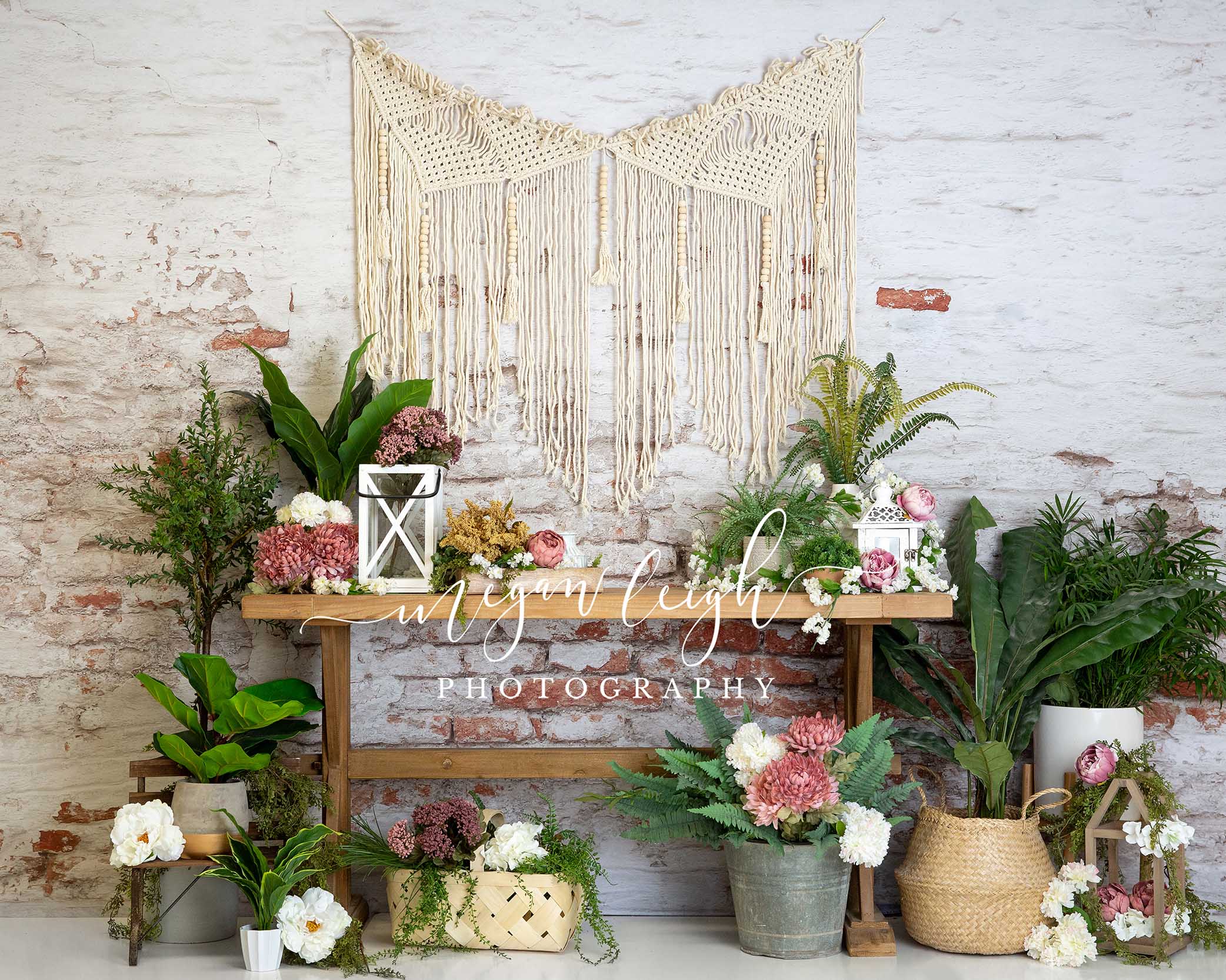 Kate Boho Summer Backdrop Designed by Megan Leigh Photography - Kate Backdrop AU