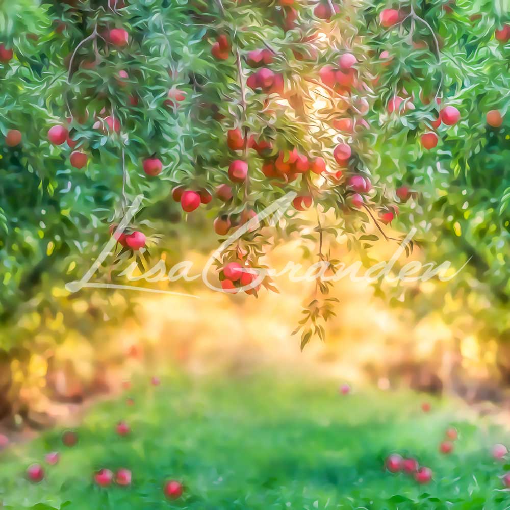 Kate Apple Orchard Summer Backdrop for Photography Designed by Lisa Granden - Kate Backdrop AU