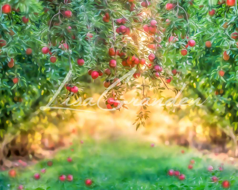 Kate Apple Orchard Summer Backdrop for Photography Designed by Lisa Granden - Kate Backdrop AU