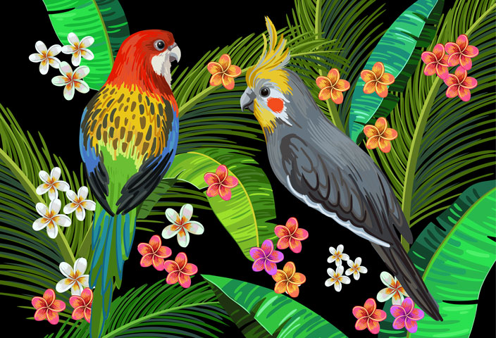 Kate Australian Parrots Wildlife Palm Leaves Backdrop for Photography - Kate Backdrop AU