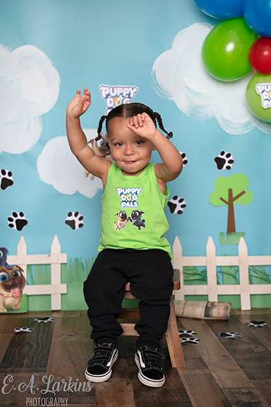Kate Puppy Dog Friends Backdrop for Photography Designed By Erin Larkins - Kate Backdrop AU