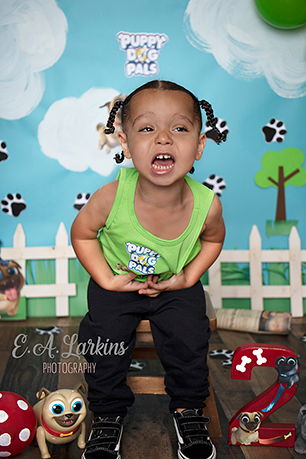 Kate Puppy Dog Friends Backdrop for Photography Designed By Erin Larkins - Kate Backdrop AU