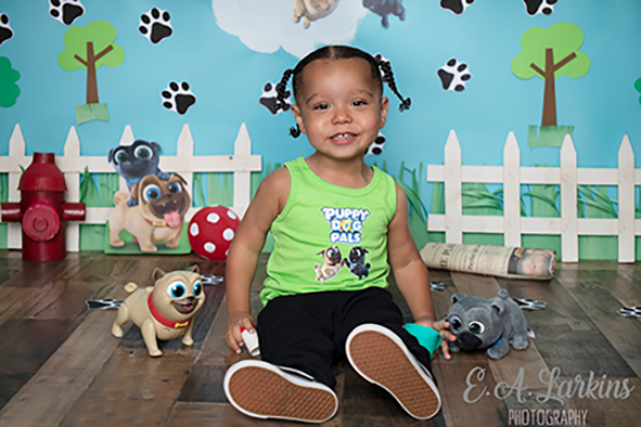 Kate Puppy Dog Friends Backdrop for Photography Designed By Erin Larkins - Kate Backdrop AU