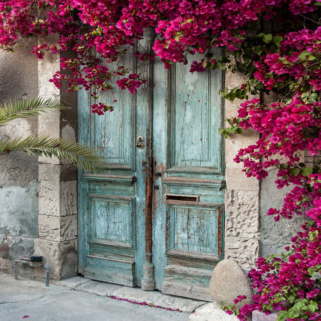 Kate Blue Door Red Floral Scenery Concrete Backdrops - Kate Backdrop AU