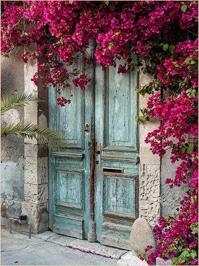 Katebackdrop Kate Blue Wooden Door red Floral Scenery Concrete Backdrops