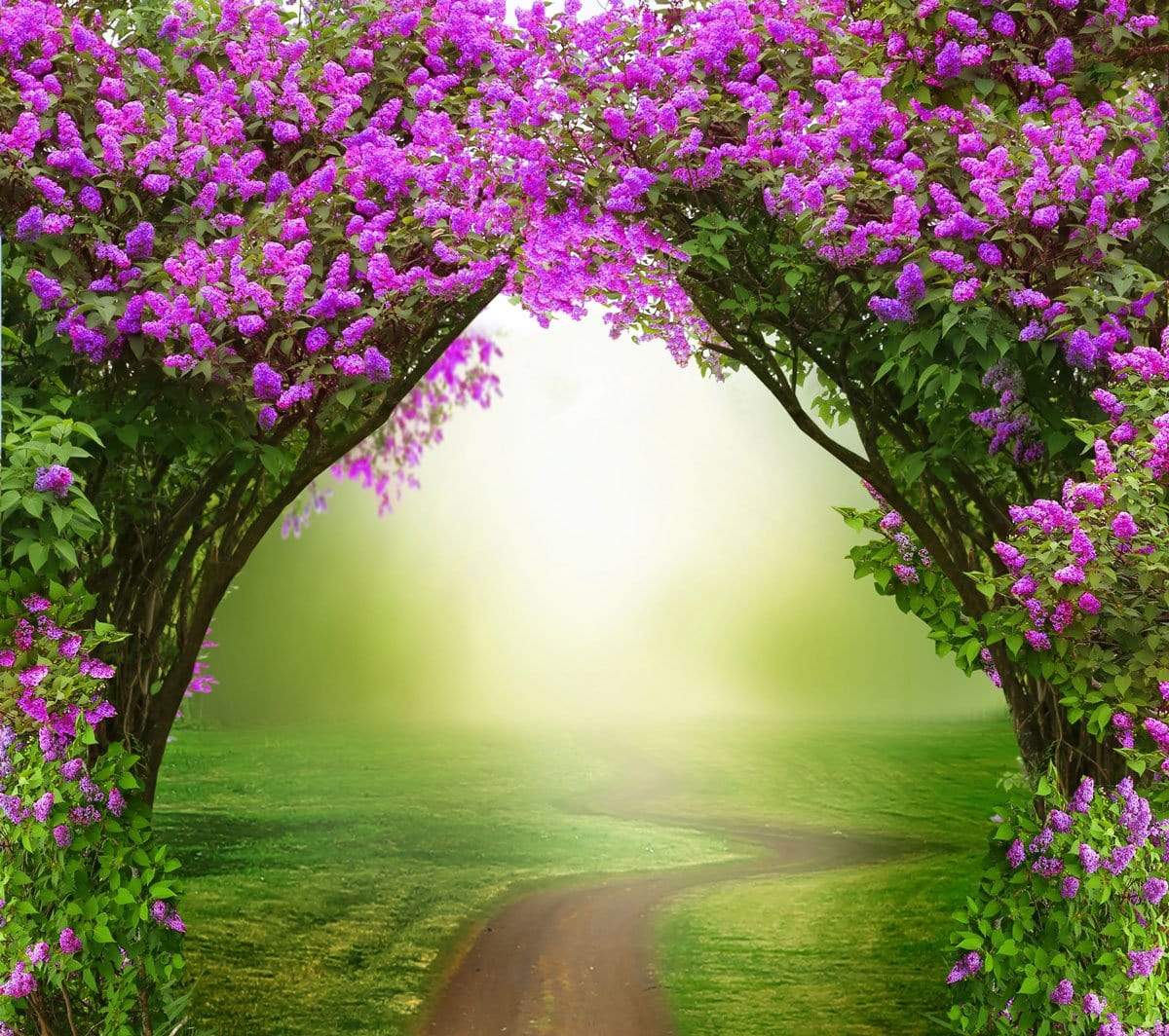 Kate Green Grass With Purple Flowers Spring Scenery Backdrop for Photography - Kate Backdrop AU