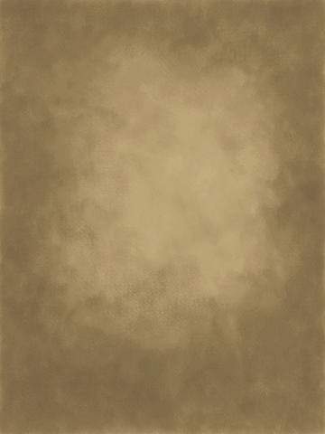 Kate Gold little brown Texture Abstract Background Photos Backdrop