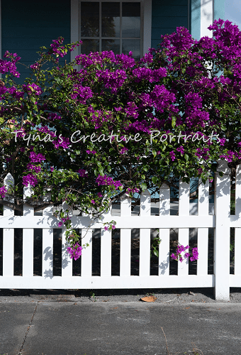 Kate Railings and Flowers Spring Backdrop Designed by Tyna Renner - Kate Backdrop AU