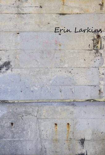 Kate Urban Brick Backdrop for Photography Designed by Erin Larkins