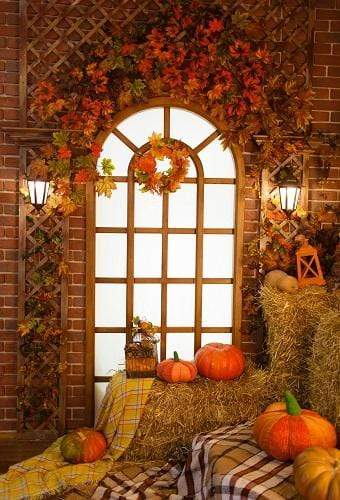 Kate Autumn Window Thanksgiving Pumpkins Backdrop for Photography