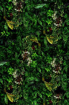 kate Spring Tropical Rain Forest Plants Wall Backdrop for Photography