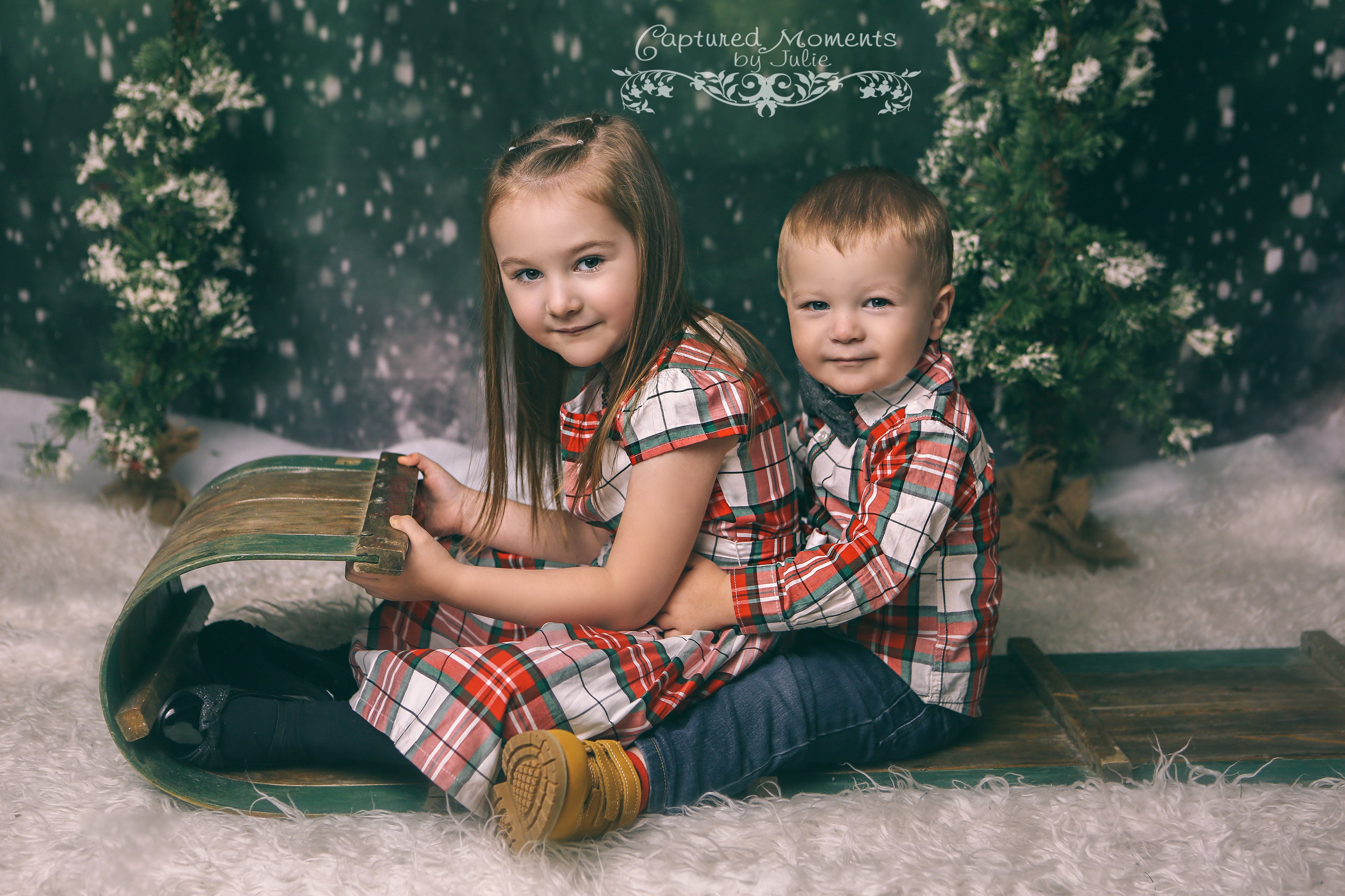 Kate Dazzling Winter Snowy Forest Backdrop for Photography Designed by Modest Brushes - Kate Backdrop AU