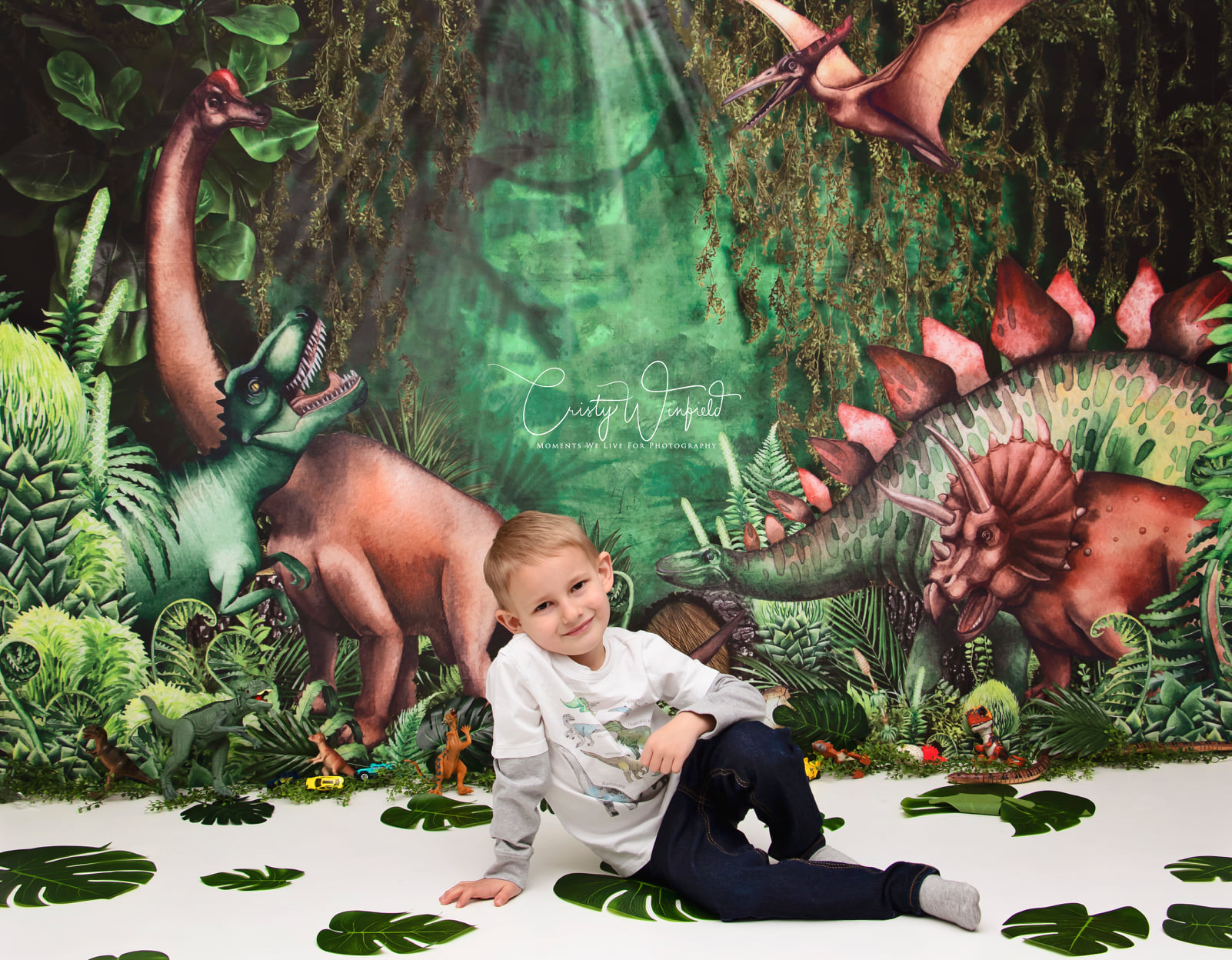Kate Jungle Adventure Dinosaurs Backdrop Designed by Mandy Ringe Photography - Kate Backdrop AU