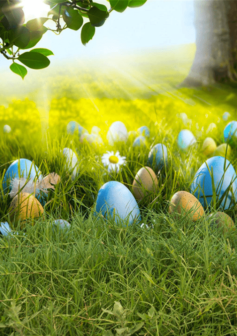 Kate Happy Easter Eggs Spring Flowers Backdrop - Kate Backdrop AU