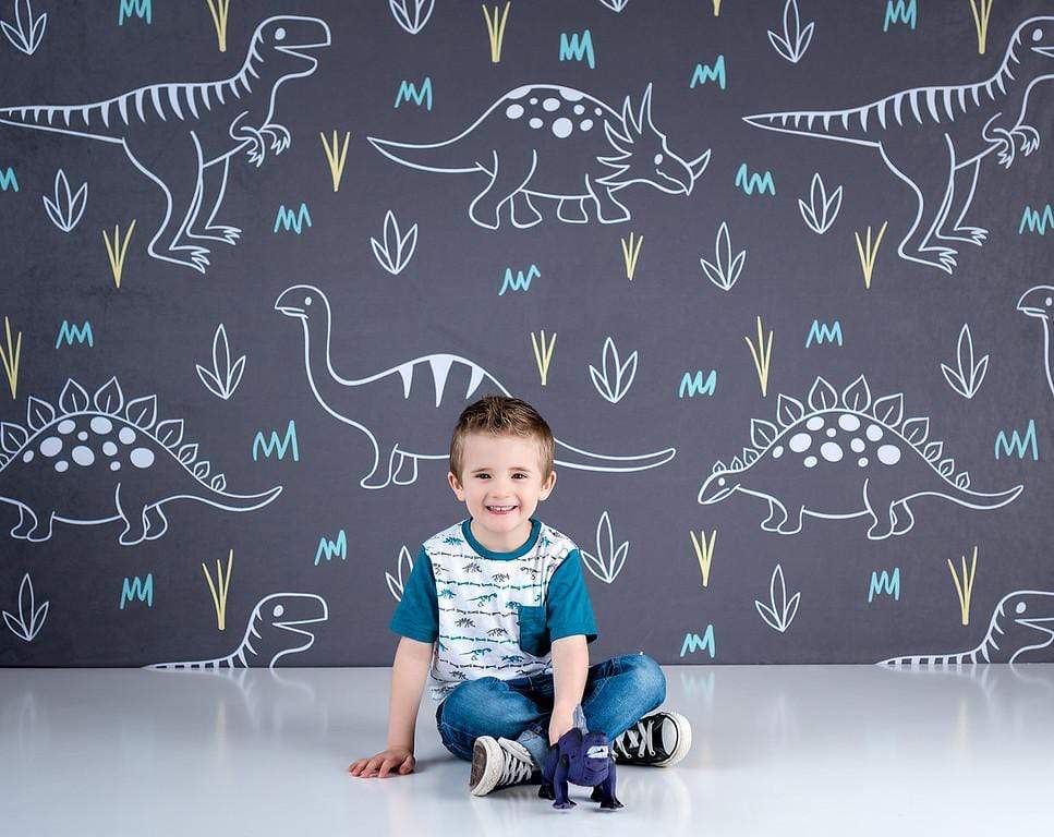 Kate Dinosaur Park Children Backdrop for Photography Designed by Amanda Moffatt