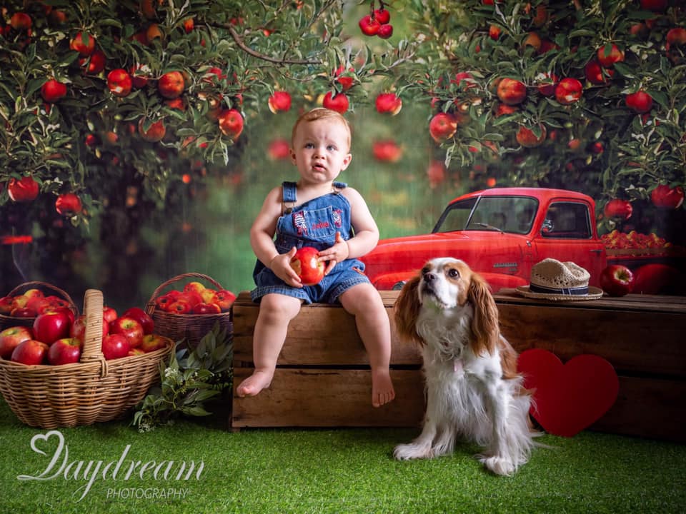 Kate Summer Apple Orchard Red Truck Backdrop Designed by Rosabell Photography