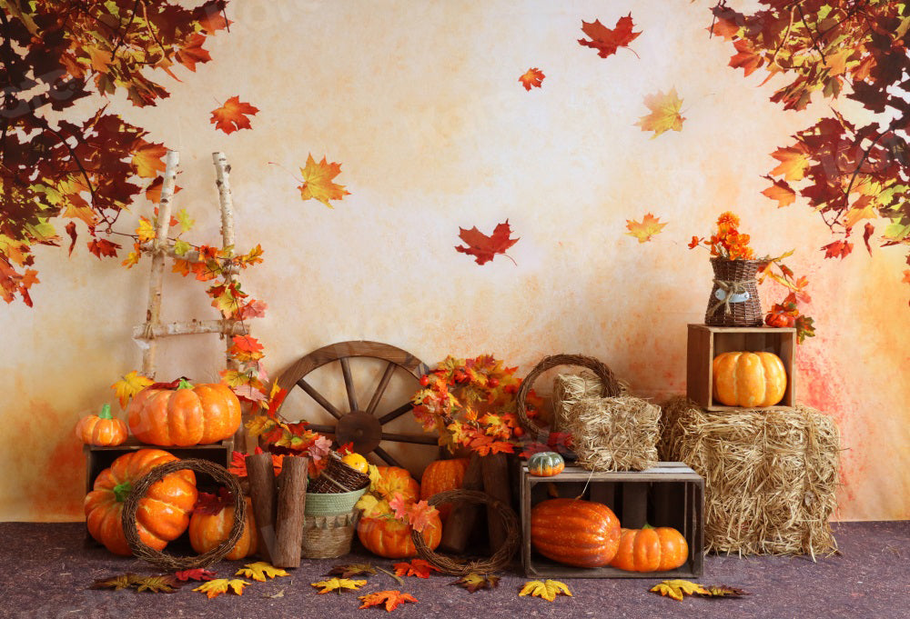 Kate Autumn Backdrop Pumpkins Maple Leaves Farm Ladder for Photography