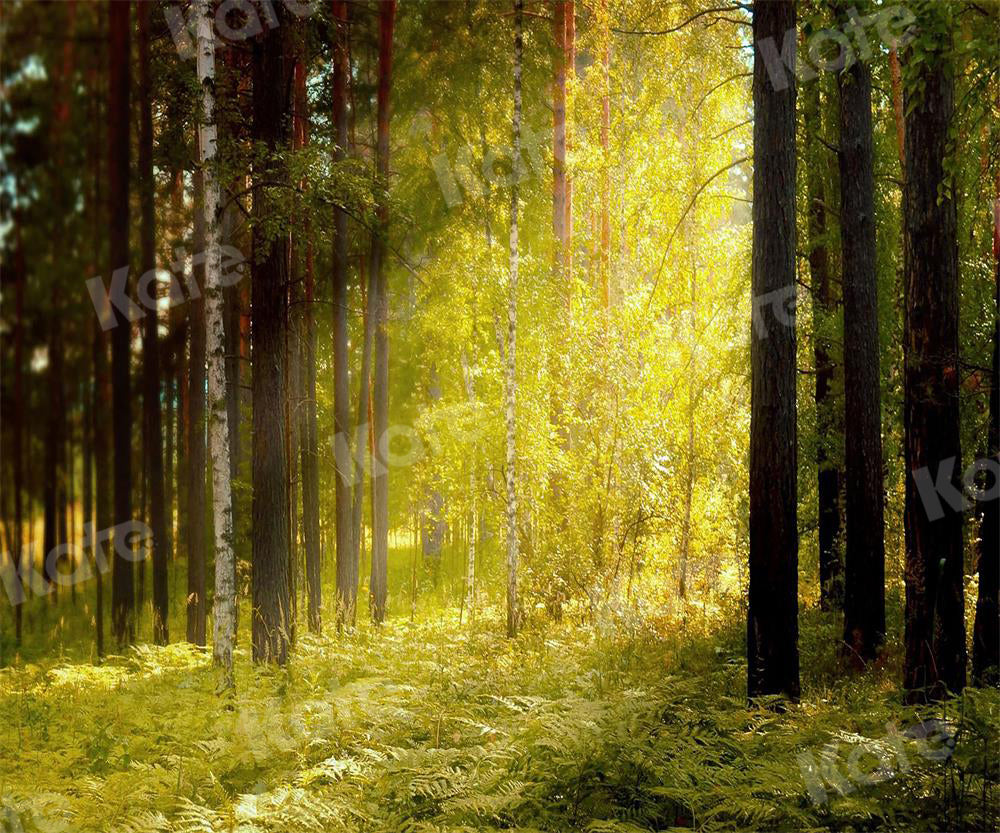 Kate Autumn Backdrop Sunlight Nature Forest Summer Elf for Photography - Kate Backdrop AU