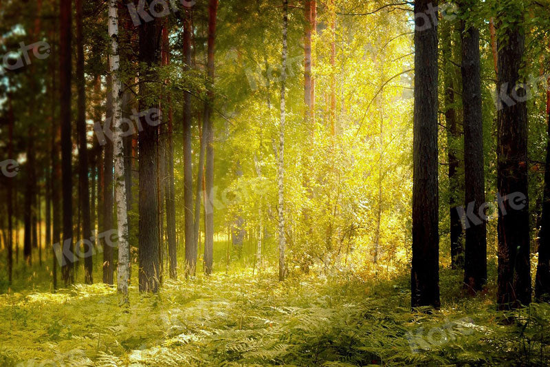 Kate Autumn Backdrop Sunlight Nature Forest Summer Elf for Photography - Kate Backdrop AU