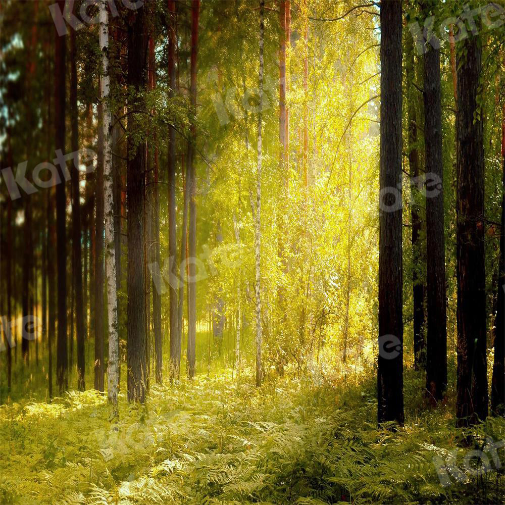 Kate Autumn Backdrop Sunlight Nature Forest Summer Elf for Photography - Kate Backdrop AU