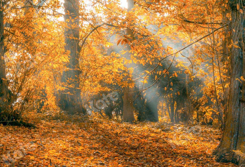 Kate Autumn Deciduous Forest Backdrop Outdoor Designed by Chain Photography