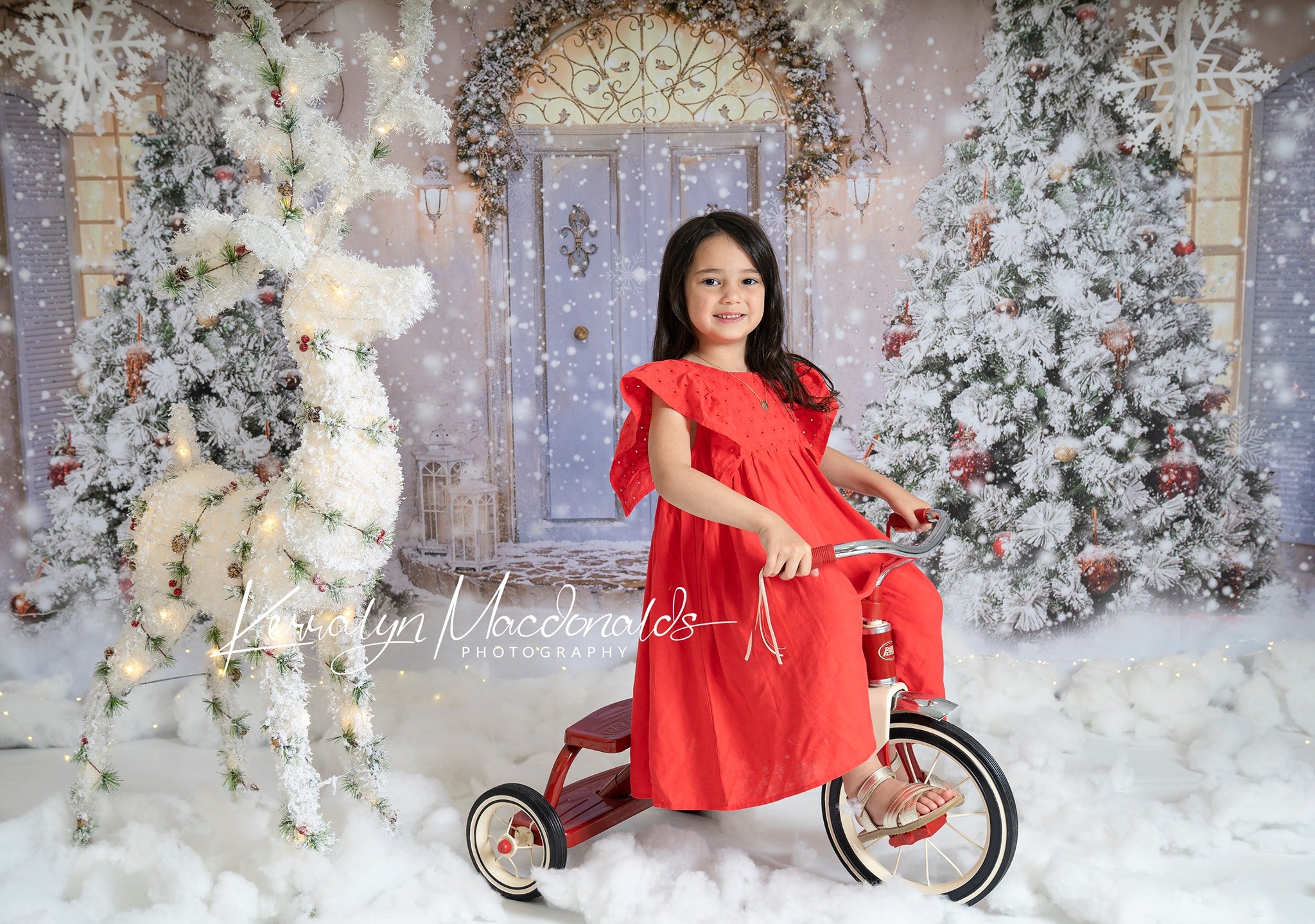 Kate Christmas Door Front Snow Backdrop for Photography