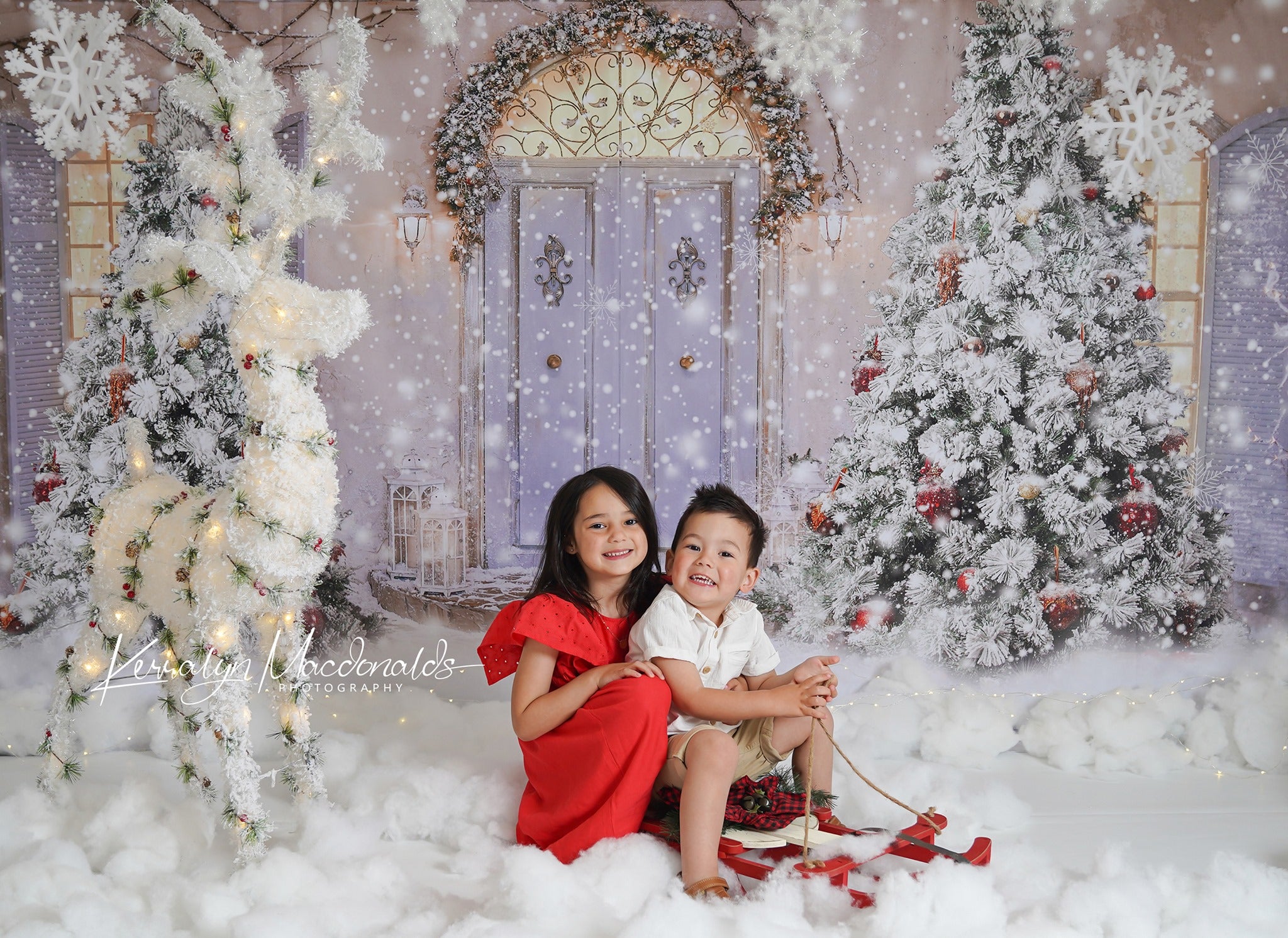 Kate Christmas Door Front Snow Backdrop for Photography - Kate Backdrop AU
