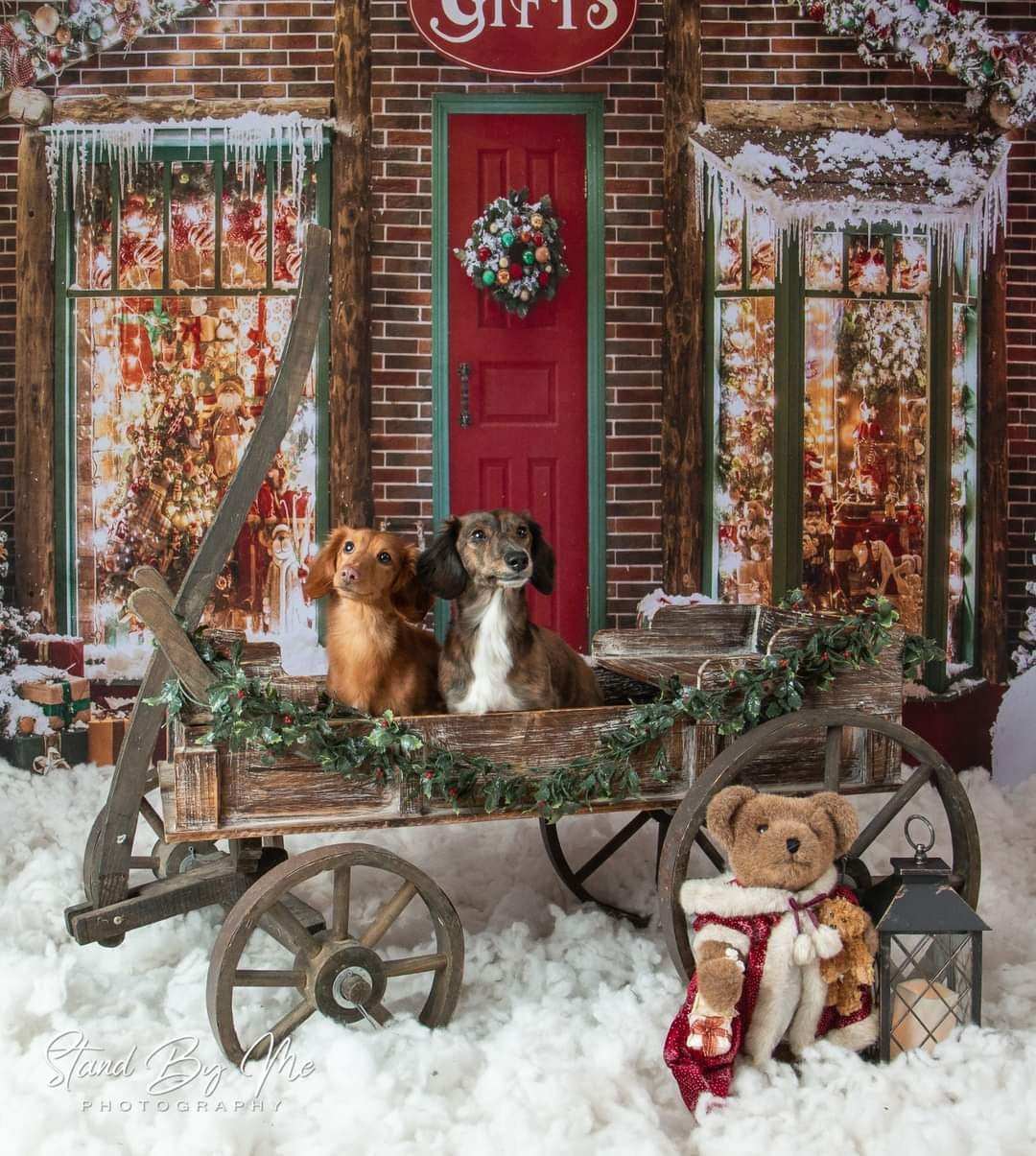 Kate Christmas Giftshop Decorations Snow Backdrop for Photography - Kate Backdrop AU