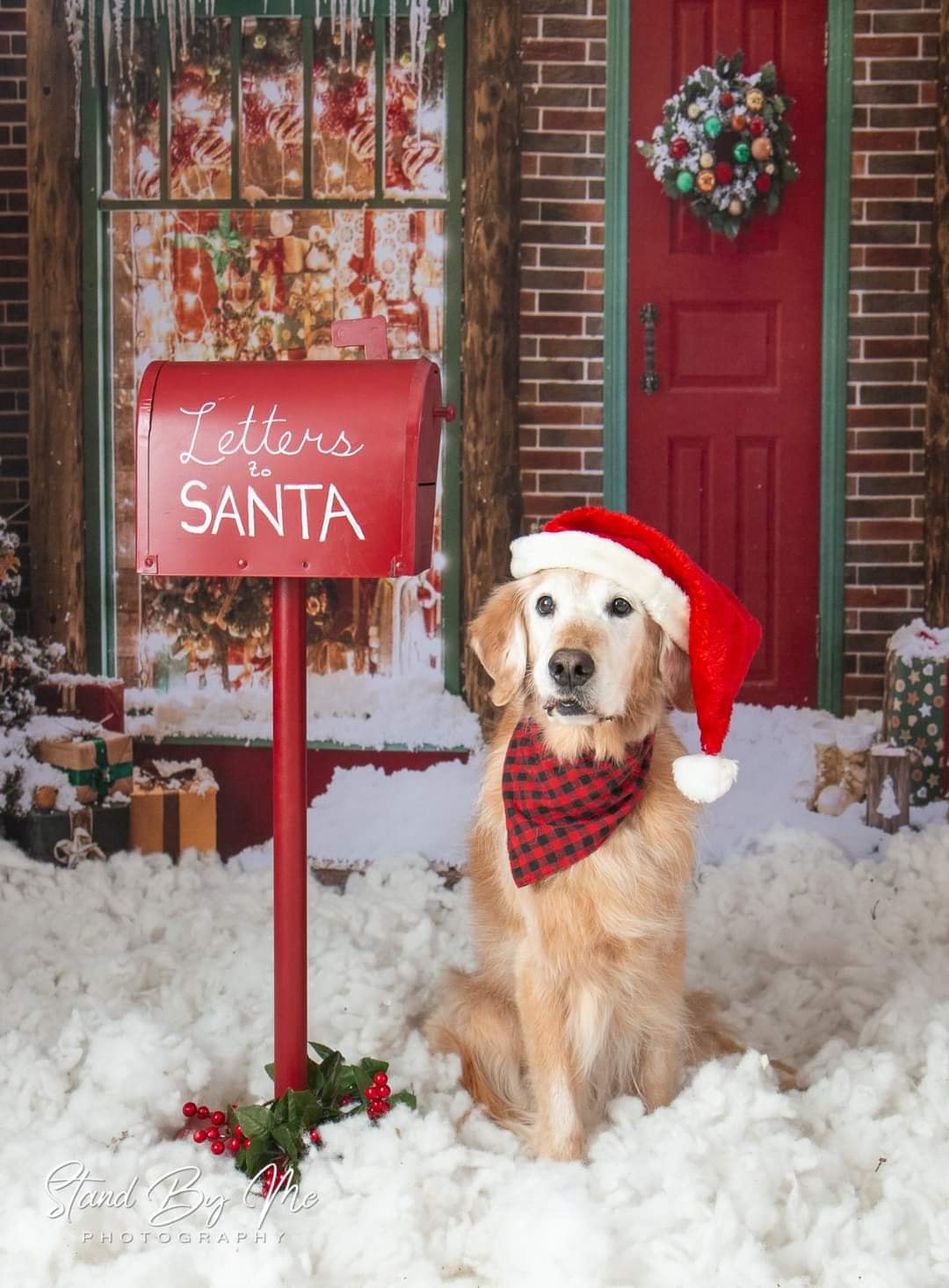 Kate Christmas Giftshop Decorations Snow Backdrop for Photography - Kate Backdrop AU