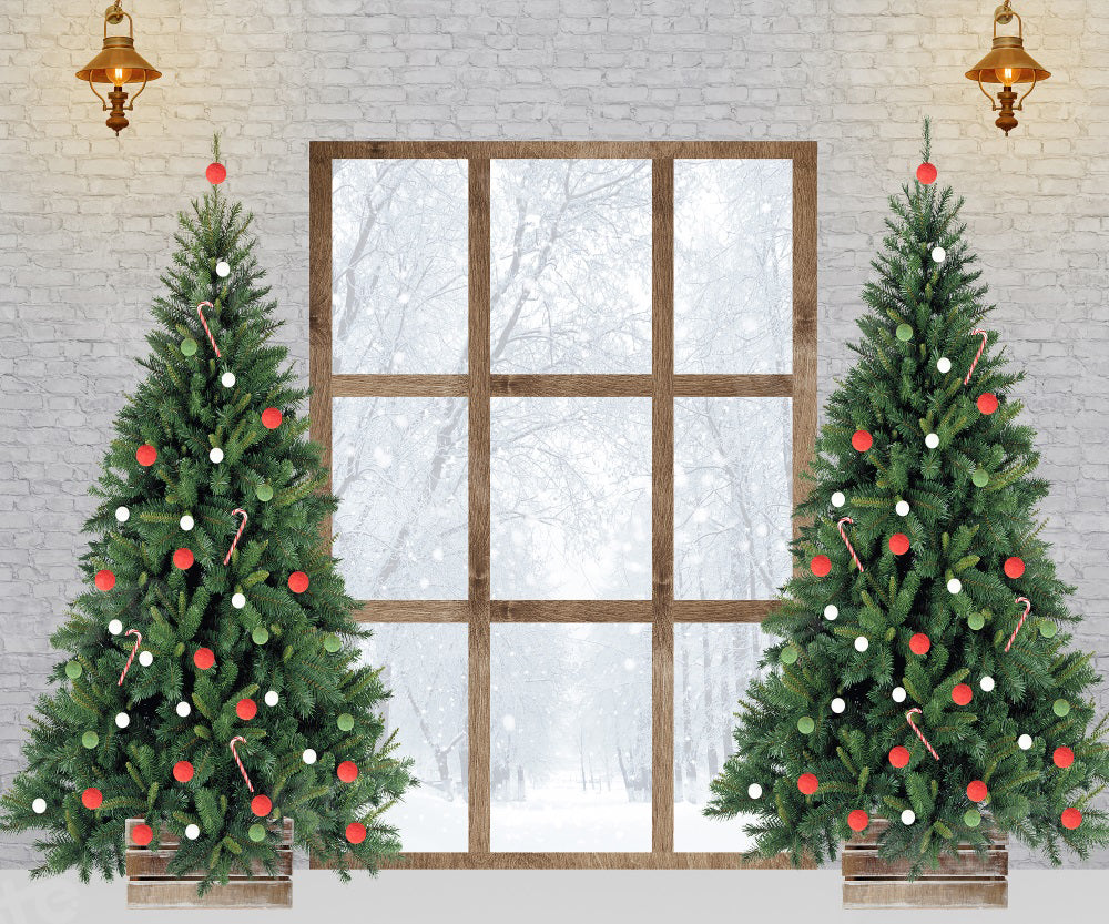 Kate Christmas Tree Backdrop Winter Snow Outside Window for Photography - Kate Backdrop AU