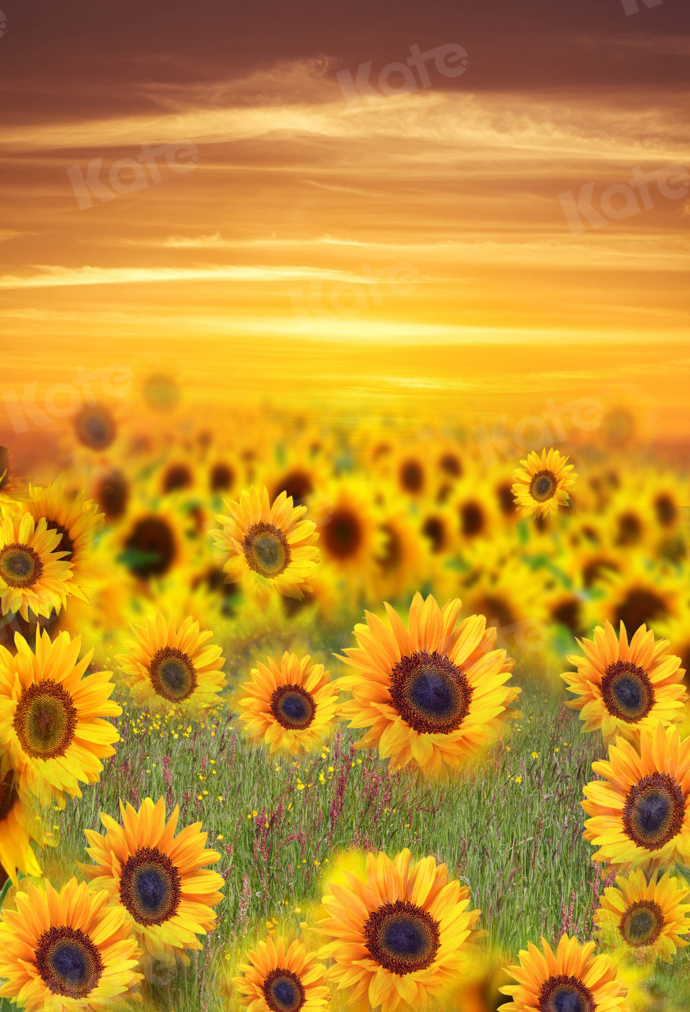 Kate Summer Backdrop Sunflower Sunset for Photography