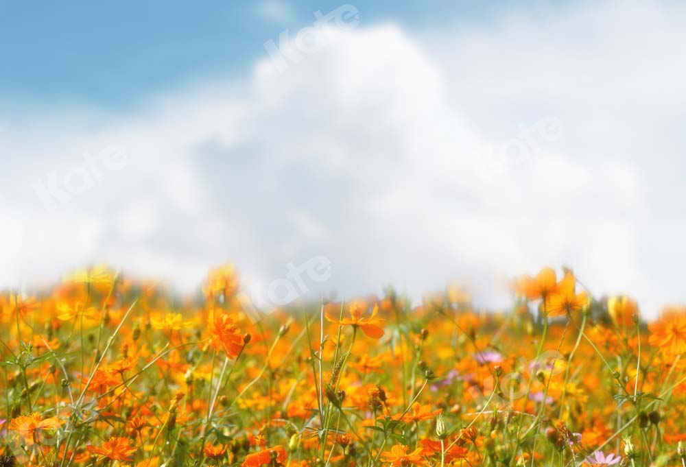 Kate Summer Bokeh Backdrop Flower for Photography - Kate Backdrop AU