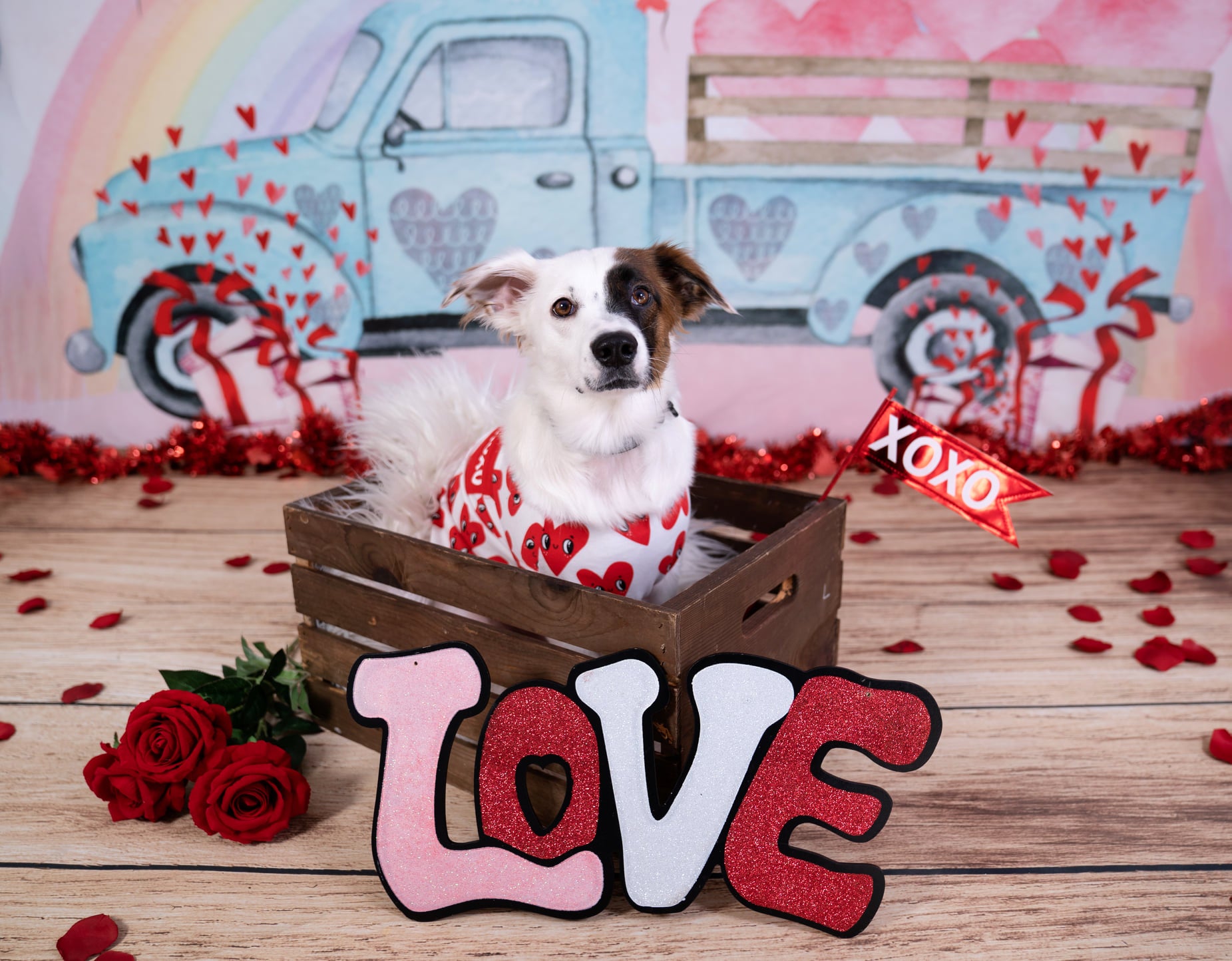 Kate Valentine's Day Love Truck Backdrop Designed by GQ - Kate Backdrop AU