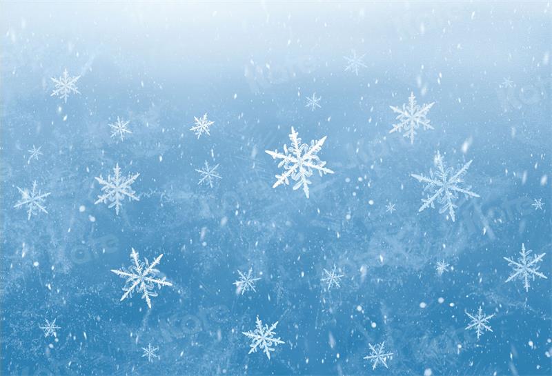 Kate Winter Snowflakes Backdrop Blue for Photography - Kate Backdrop AU