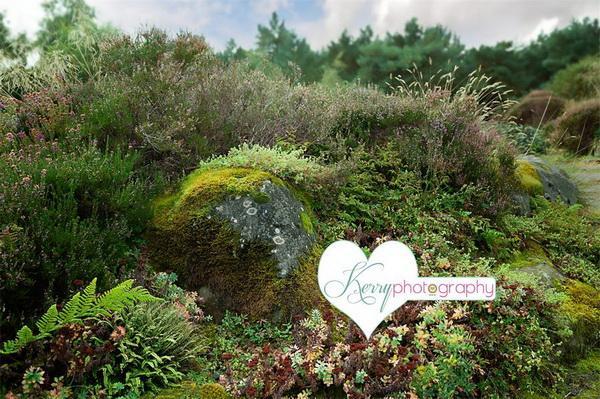 Kate Fairy Flower Rock Woodland with Greenery Backdrop Designed by Kerry Anderson