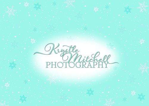 Kate Blue Snowflakes Backdrop Designed By Krystle Mitchell Photography