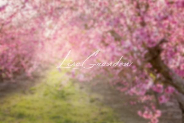 Katebackdrop¡êoKate Spring Pink Flowers Backdrop for Photography Designed by Lisa Granden