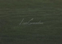 Kate Grass Floor Backdrop for Photography Designed by Lisa Granden