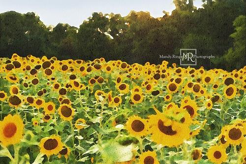 Kate Evening Sunflower Field Backdrop Designed by Mandy Ringe Photography