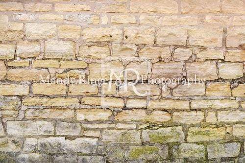 Kate Cream Stone Wall Backdrop Designed By Mandy Ringe Photography