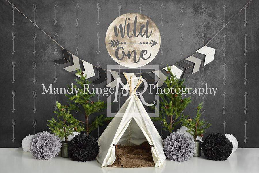 Kate Wild One Boy First Birthday Backdrop Designed By Mandy Ringe Photography - Kate Backdrop AU