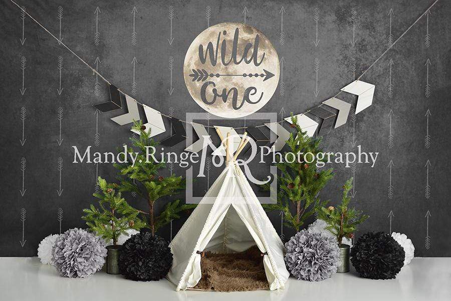 Kate Wild One Boy First Birthday Backdrop Designed By Mandy Ringe Photography