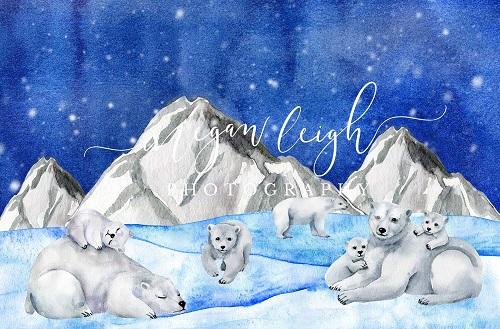 Kate Christmas Backdrop Polar Bears Designed by Megan Leigh Photography