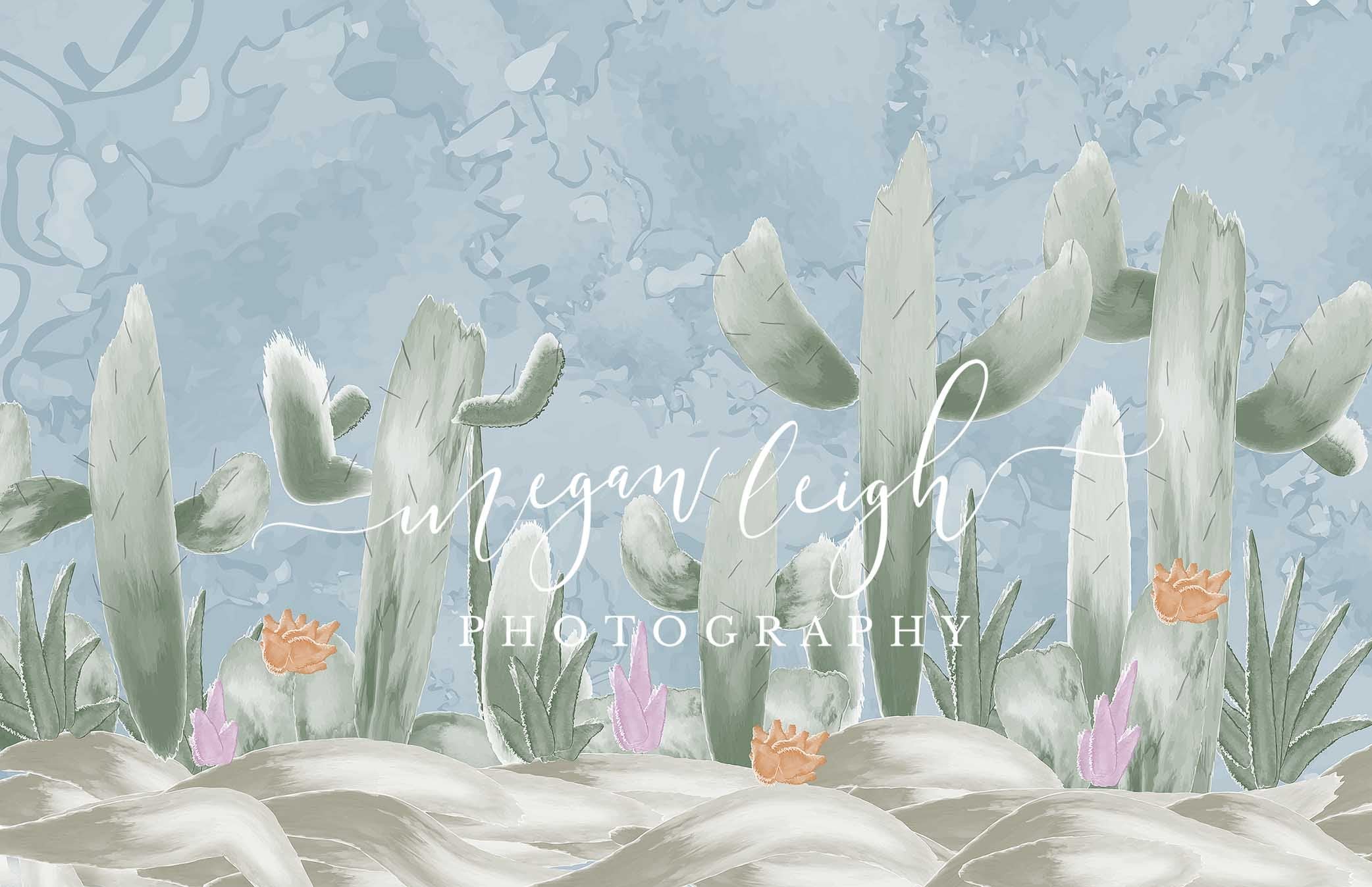 Kate Cactus Spring Children Birthday Backdrop Designed by Megan Leigh Photography