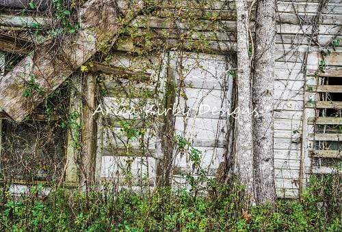Kate Overgrown Doors Greenery Backdrop Designed by Arica Kirby - Kate Backdrop AU